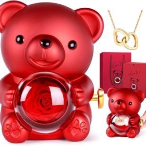 Eternal Rose Bear, Rose Box with Chain, Birthday Gift for Women