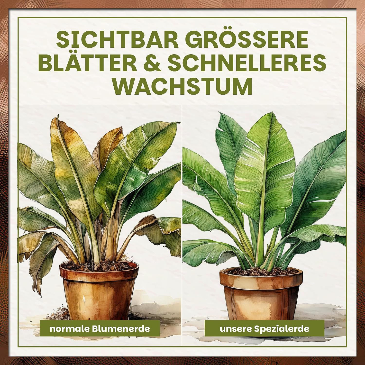 Green Home Banana Soil 72L - Soil for Bananas and Tropical Plants | Potting Soil with Long-Lasting Fertiliser | With Perlite, Coconut Fibres & Bark Humus | Soil for Raised Bed, Pot & Garden, pH 5.8 – Bild 5