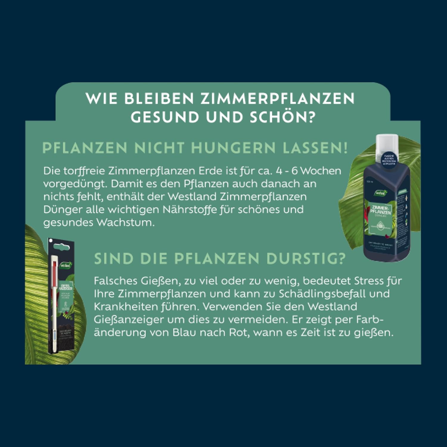 Westland Zimmerpflanzen Erde, 8 l – Erde mit Tongranulat für EIN gesundes Wachstum, Blumenerde für eine ideale Wasser- und Nährstoffverteilung – Bild 7
