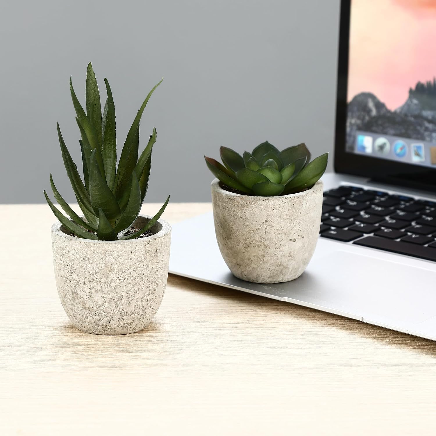 Pack of 5 Artificial Plants, Mini Artificial Plants Snake Tongue, Agave Succulent, Eagle Claw Aloe, Artificial Plants for Bedroom, Office, Decoration – Bild 7