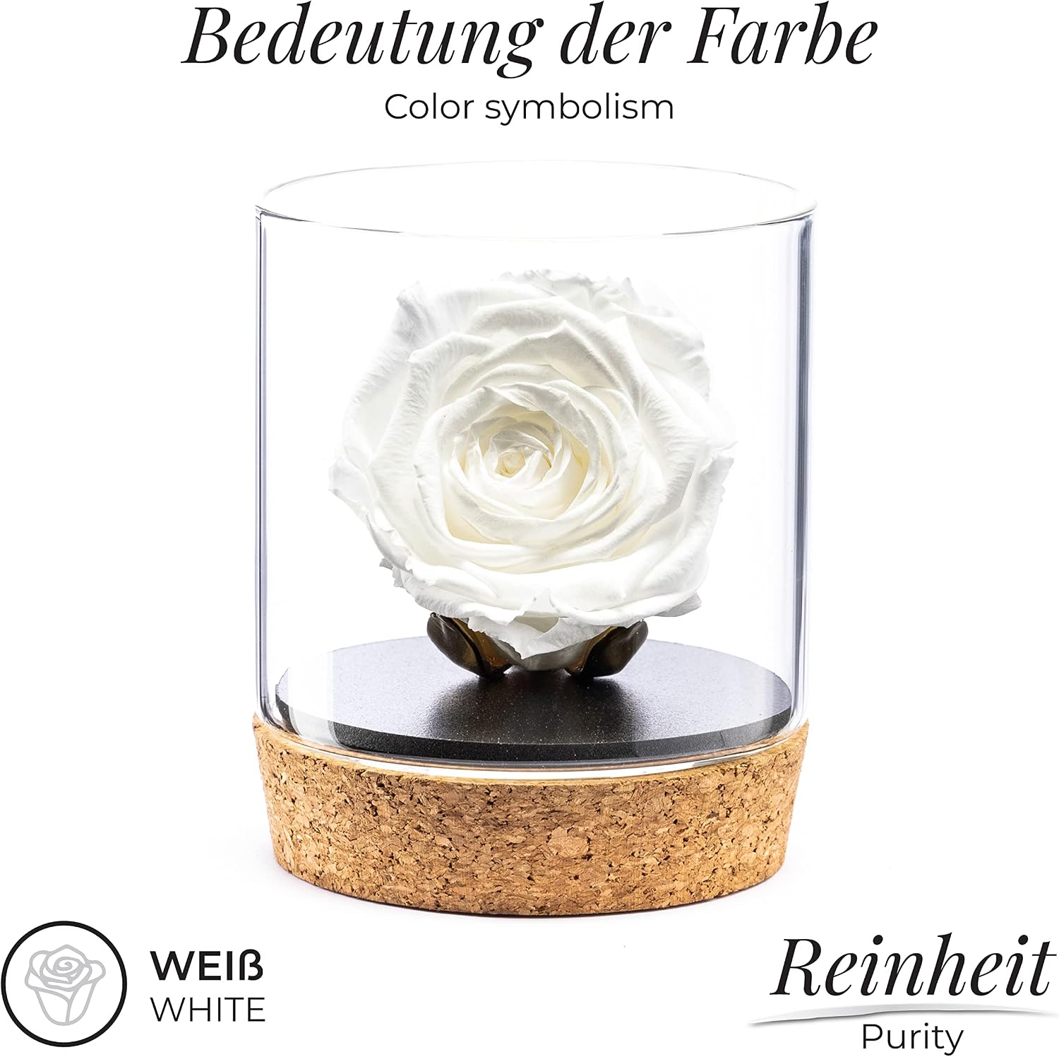 Amoroses Bijou - Eternal Stabilised Rose with 24 Carat Gold-Plated Goblet in Glass Jar Gift Idea – Bild 2