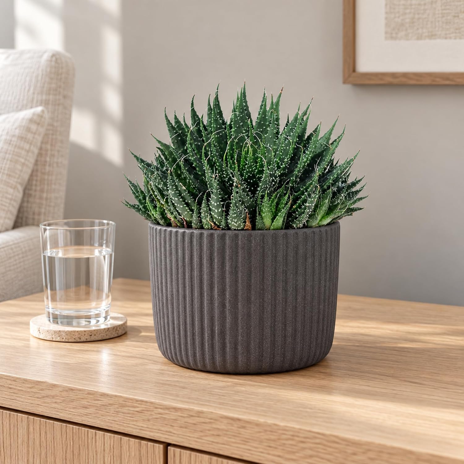 Aloe - Easy-Care Indoor Plant, Aloe Aristata 'Magic Rocks' - Height Approx. 20 cm, Pot Diameter 12 cm – Bild 3