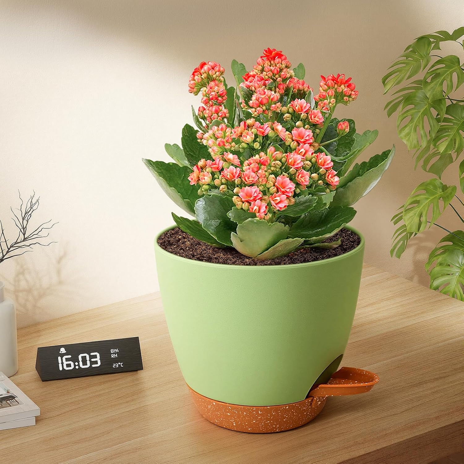 6 Packs Flower Pot, Plant Pot, Self-Watering 15.2 cm, with Brown Saucer, Watering Opening, Cotton Cord, Suitable for Indoor and Outdoor Gardens – Bild 6