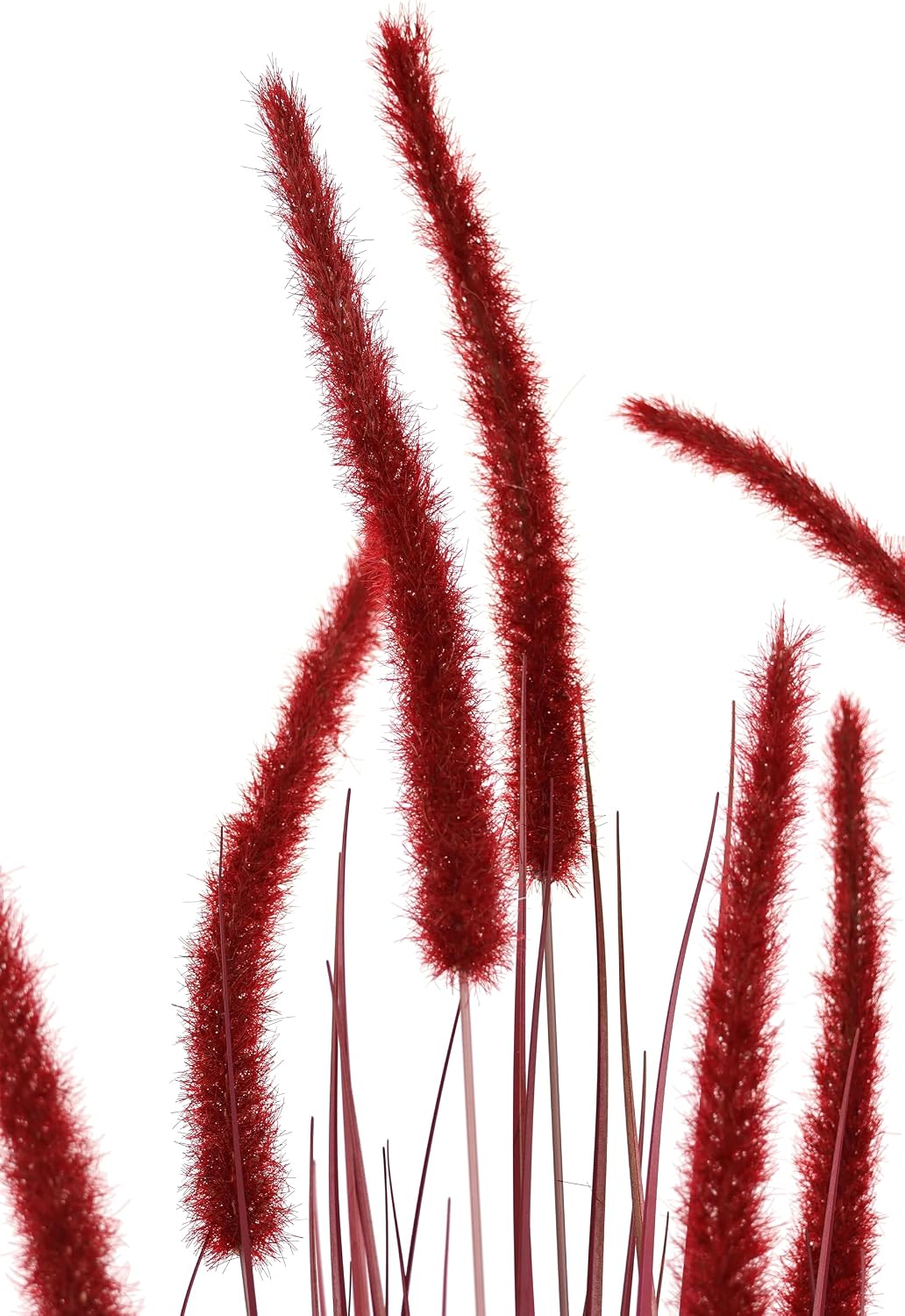 Fox Tail Grass in Pot Grass Artificial Plant Artificial Grass Ornamental Grass Green Plants Grass Bundle Grass Bundle Shore Grass Bush Decorative Grass Solitaire Grass Autumn Decoration Bristle Millet Panicoideae Sweet Grasses – Bild 3