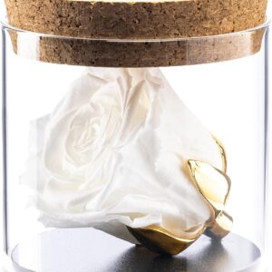 Amoroses Bijou – Eternal Stabilised Rose with 24 Carat Gold-Plated Goblet in Glass Jar Gift Idea