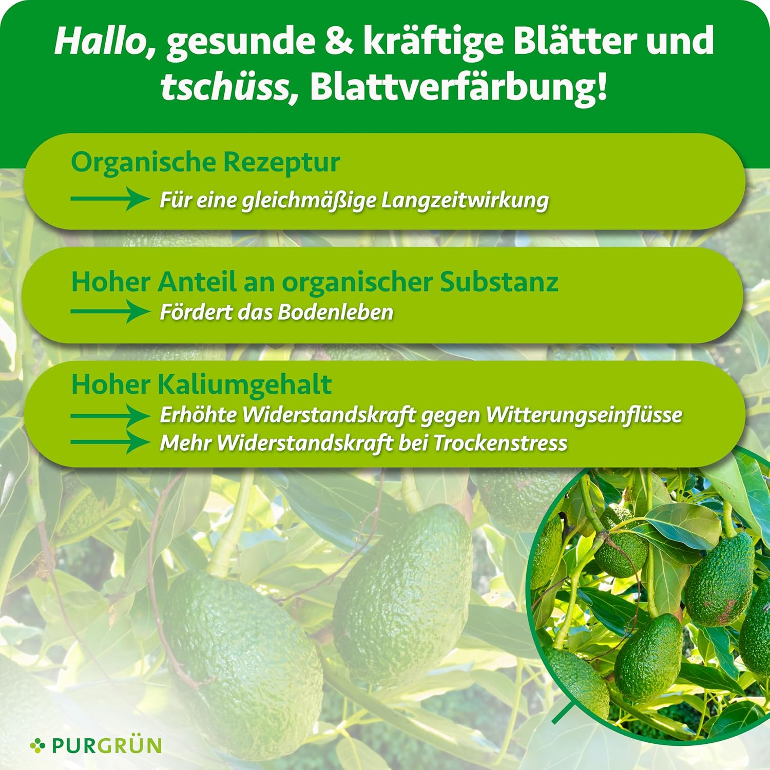 Organic Avocado Fertiliser 1 Litre - Organic Formula - Premium Liquid Fertiliser - NPK 4+1+7 - With Algae Extract & Vinasse - Extra Potassium for Magnificent Avocados - No Animal Ingredients – Bild 3