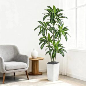 Artificial Dragon Tree Plants 180 cm Artificial Plants Large White Pot