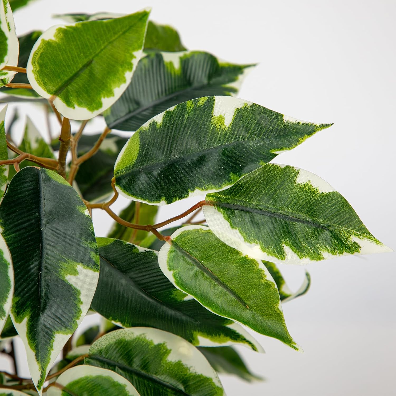 Hollyone Artificial Plants Like Real Ficus 40 cm Artificial Ficus Plants in Pot Green Plant Decorative Indoor Plant for Windowsill Living Room Bathroom Table Decoration Light Green – Bild 3