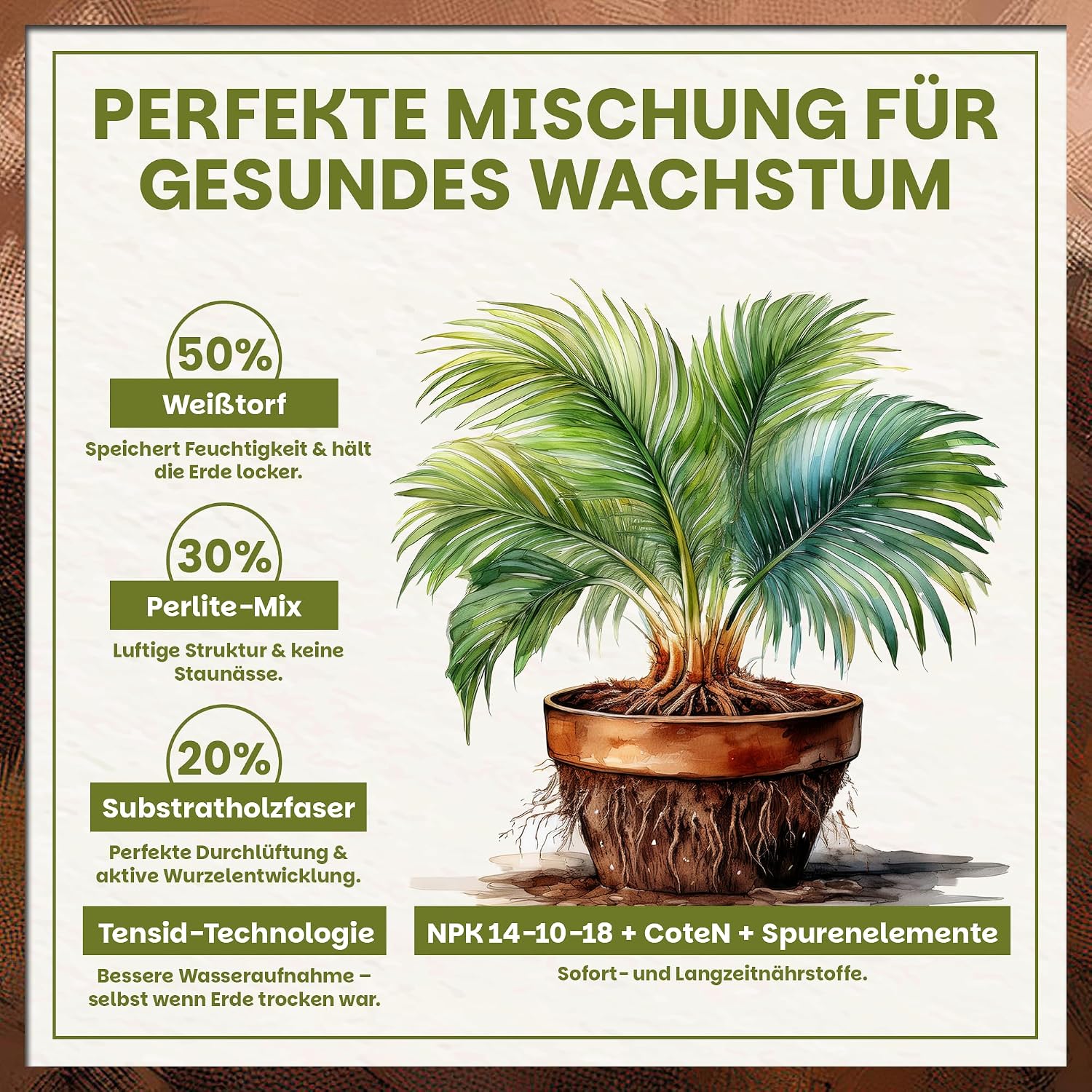 Green Home Green Plant & Palm Soil 72L - Potting Soil for Palm Trees, Green Plants & Indoor Plants - With Peat & Wood Fibres - Raised Bed Soil & Vegetable Soil for Healthy Growth – Bild 4