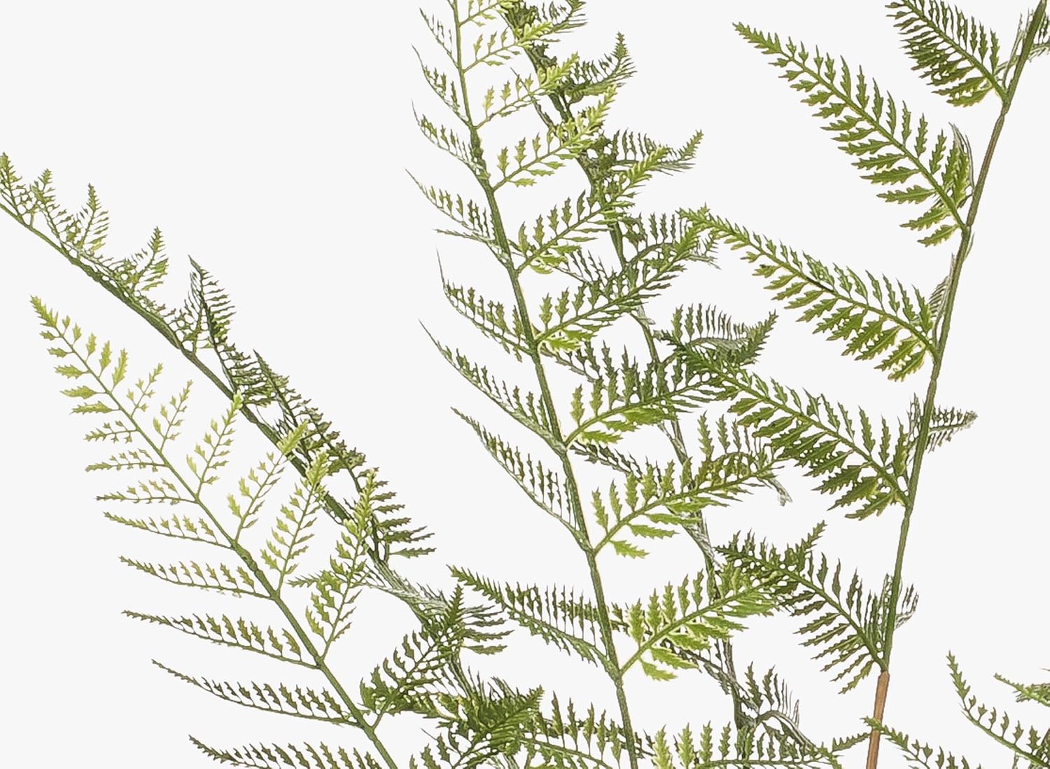 artplants. Artificial Tree Fern Gustun Roots Green 120 cm Artificial Fern Plant – Bild 2