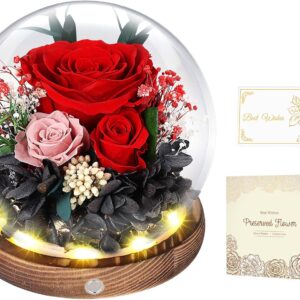 Eternal Rose in Glass Red with LED Infinity Rose Real Flower for Women