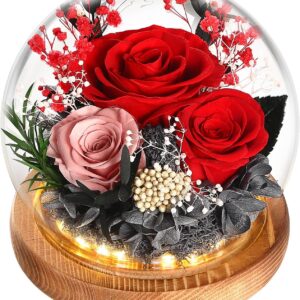 WYRIAZA Eternal Rose in Glass Gifts for Women Mum Wife Girlfriend Wife, Mother’s Day Gift Birthday Gift Gifts for Christmas Valentine’s Day Mother’s Day Birthday