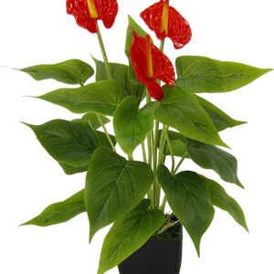Artificial Anthurium Plant in Pot Anthurium Exotic Flamingo Flower Exotic Plant with Red Flowers Flamingo Plant Artificial Plant Decorative Plant Artificial Flower Decorative Indoor Plant Calla