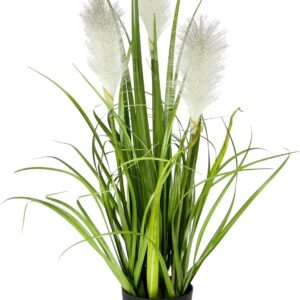 Artificial Pampas Grass in Pot, Feather Grass, Shore Grass, Silk Flowers, Grass Bush, Decorative Grass, Artificial Plants, Solitaire Grass, Pampas Grass, Artificial Flower, Artificial Grass, Green