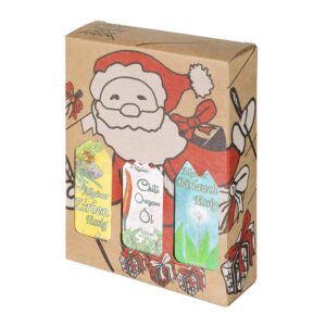 Christmas Enjoyment Box - Delicatessen Gift Set - 3 x 100 ml Bottles: 2 x Vinegar 1 x Oil - Allgäuer Delikatessen with Christmas Gift Packaging