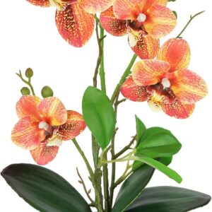 Artificial Flower Butterfly Orchid 38 cm with Leaves and Aerial Roots in Ceramic Pot Artificial Flower Artificial Orchid Phalaenopsis with Planter Artificial Plant Wedding Decoration Silk Flower Real Touch Flower