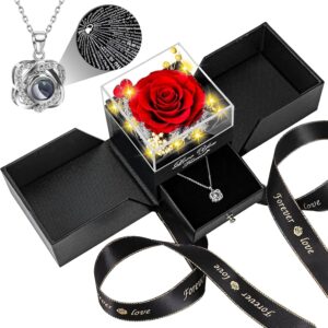 Lebana Eternal Rose with Heart Necklace and LED Lighting Gift Set for Women Mum Girlfriend for Birthday Christmas Valentine’s Day Wedding Anniversary Mother’s Day Red