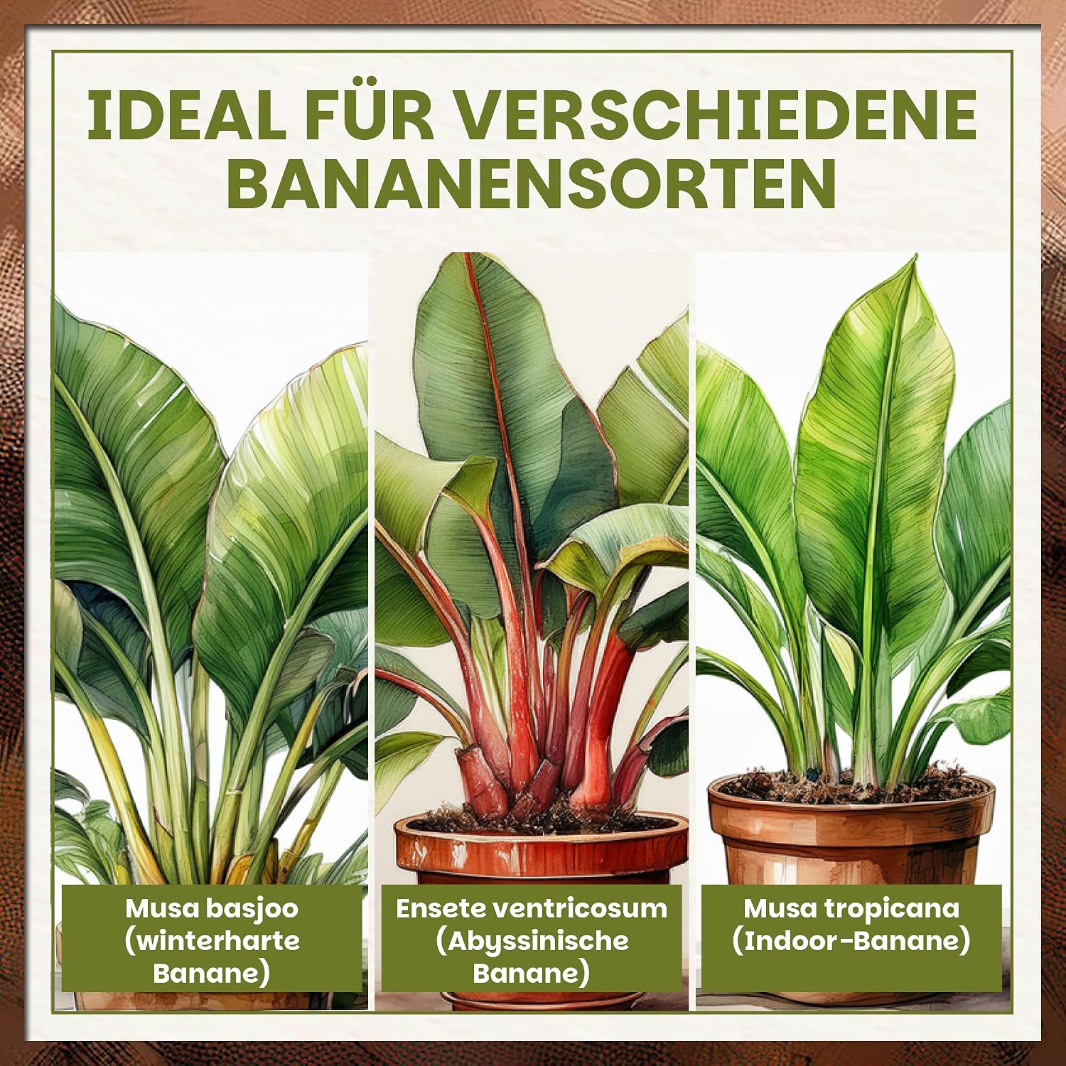 Green Home Banana Soil 72L - Soil for Bananas and Tropical Plants | Potting Soil with Long-Lasting Fertiliser | With Perlite, Coconut Fibres & Bark Humus | Soil for Raised Bed, Pot & Garden, pH 5.8 – Bild 3