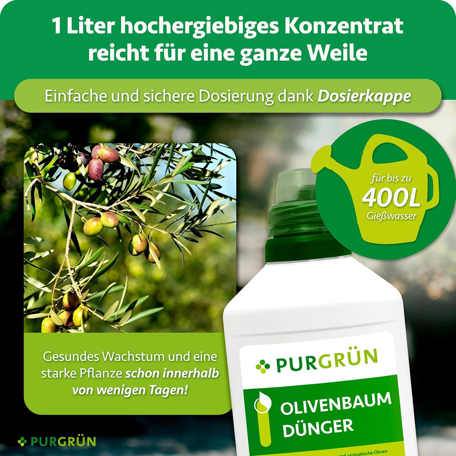 Olive Tree Fertiliser 1 Litre - Organic Mineral Formula - Premium Liquid Fertiliser with Trace Nutrients - NPK 8+8+6 - For Healthy Growth & Aromatic Olives - With Guano & Aqua Plus – Bild 4