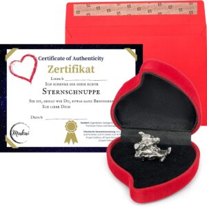 Makai Real Meteorite Shooting Star with Certificate of Authenticity, Gift Card Box, Personalised Card with Dedication