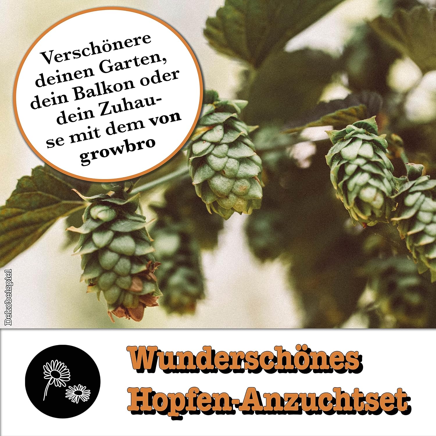 growbro hops growing set, the way to make your own beer, gift for men, friends and Dad, birthday gift, guest gift, gifts for barbecue, men's gadget – Bild 3