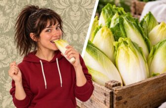 Chicorée für Kochmuffel: Wie ihr ihn einfach in eure Ernährung integriert (Vaga Vegana)