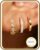 SMILYA 3 Pairs of Earrings Gold for Women Gold Earring Stacks Gold Hoops Earrings Hoop Earrings Set Jewellery Gifts