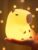YuanDian Capybara Night Light, Cute Capybara Lamp with Touch Control, Dimmable and Rechargeable for Children’s Room, Bedside Lamp for Women, Teenagers, Girls, Babies