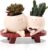 Lotvic Flower Pot with Smiley Face, Funny Flower Pots for Indoors, Plant Pot Succulents with Drainage Hole, Cute Flower Pots with Face on a Bench Sitting and Reading, Grow Succulents (Read)