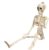 Novelty Gruseliges Halloween Schädel Menschliche Figur Aufstellbar für Party Streiche Lustige Überraschung (White, One Size)
