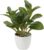 28 cm Artificial Plants in Pot for Home Decoration, Artificial Indoor Plant, Camellia, Flower Arrangements, Home and Office Decoration, Desktop Bonsai, Artificial Plants with Pots, Table Decoration, Home, Balcony, Office Decoration