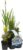 Bloomique – Set of 6 – Flowering Pond Plants – Water Plants Mini Pond – Zone 1 & 2 – Hardy – Height 15-25 cm – Pot 9 cm