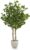 Maia Shop Natural Trunks Glycines Made From The Best Materials Ideal For Home Decoration, Artificial Tree, 105 cm