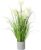 Artificial Riedgrass, 66 cm in White Pot, Lifelike Wild Grass in Pot, Pampas Grass for Indoors, High-Quality and Decorative Decorative Plant, Grass Bush for Indoors, Lifelike Artificial Plant