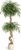 Artificial Ficus Tree for Indoor Use, Realistic Artificial Tree