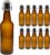 hocz 10 x Empty Swing Bottles 500 ml for Filling Brown – Bottles with Swing Top – Set of 10 Clip Glass Bottles Set for Beer, Juice, Drinks, Liquor, Oil, Sauces – 10 Pieces, 500 ml, Brown