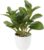Briful Artificial Indoor Plant Camellia Artificial Plant Camellia Japonica in Plastic Pot Decorative Silk Flowers Camellia Artificial Flowers for Home Hotel Decoration