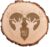 Casa Vivente Tree Disc Engraved Woodland Pattern Standard Personalised Parent