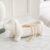 Dachshund Jewellery Bowl Ceramic Decorative Tray White Jewellery Storage Bowl