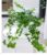 Baldur Garten 1x Ivy Indoor Plant in 13 cm Pot