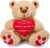 Valentine’s Day Teddy Bear Gift for Her, 8 Inch Teddy Bear, Valentine’s Day