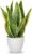 Sansevieria Artificial Plant in Ceramic Pot, Small Indoor Plant, Artificial Snake Plant, Artificial Plants Like Real, Perfect for Bathroom, Bedroom, Home, Office Decoration, Height 33 cm