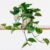 GardenersDream Hanging Plant in Hanging Basket (Epipremnum Pinnatum Aureum) – Real Plants for Indoors – Pot Indoor Plants – Pothos Plant Hanging – Ivy Indoor Plant Hanging