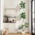 Garvee 210 cm Artificial Plant Rubber Tree with Cream Ball Pot Planter & Stone Fiddle Fig Tree Indoor Artificial Tree Tall Plant Fake Tree Tropical Large Ground Tree