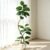 Artificial Rubber Tree 150 cm Ficus Elastica with Resin Pot Beige