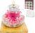 Decorative Eternal Rose Aromatherapy Set (Pink)