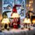 Bseical 3 Pieces Christmas Decoration Indoor Christmas Gnome Illuminated Table