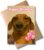 WBdesignz Funny Birthday Card with Envelope – with Happy Dachshund, Pink Balloons & Chocolate Cake – Humorous Greeting Card for Dog Owners, Friends & Family for Birthday (A6)
