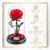 [Personalised] YourRoses Real Premium Rose in Glass with a Beautiful Gift Box, Long Durability and Elegant Gift as a Token of Love, A Gift from the Heart