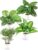 PASCH® Set of 4 Tropical Artificial Plants Like Real (25 cm) in White Ceramic Pots: Monstera Artificial & Areca Artificial Palm | Artificial Plants in Pot | Fake Plant | Artificial Flowers in Pot